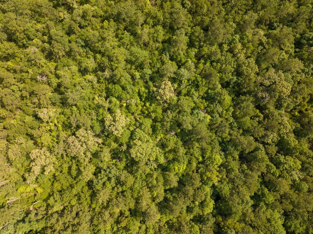 Off Webb Spikes Road Property Photo 4