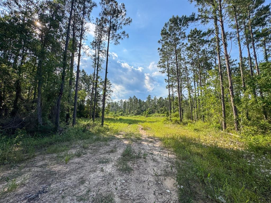 0 Highway 165 Property Photo 2