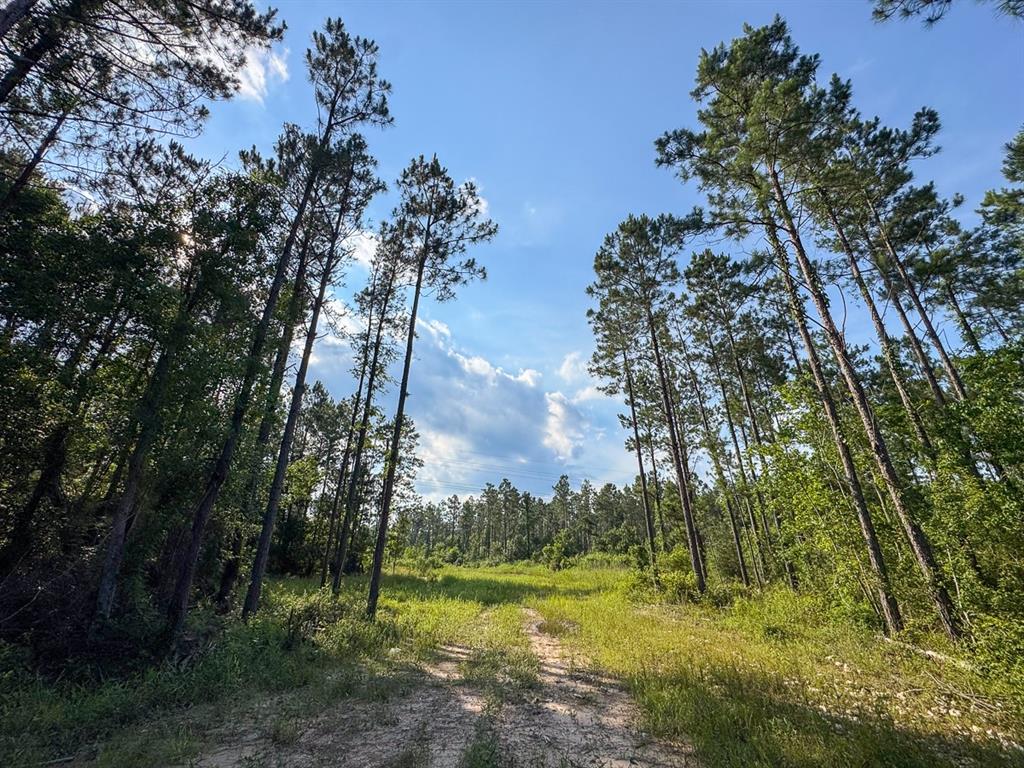 0 Highway 165 Property Photo 3