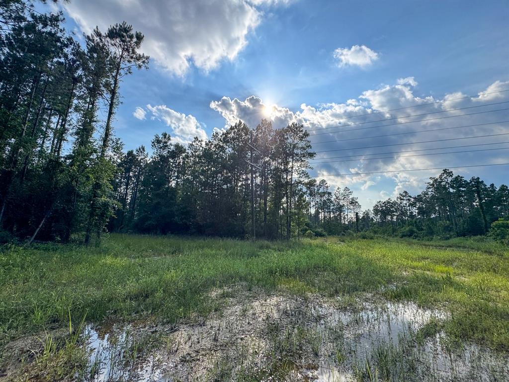 0 Highway 165 Property Photo 5