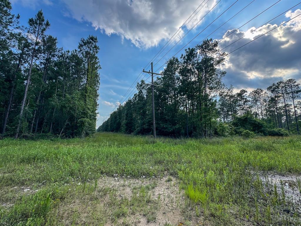 0 Highway 165 Property Photo 6