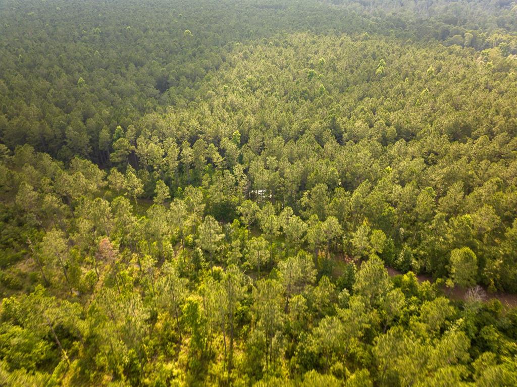 0 Highway 165 Property Photo 10