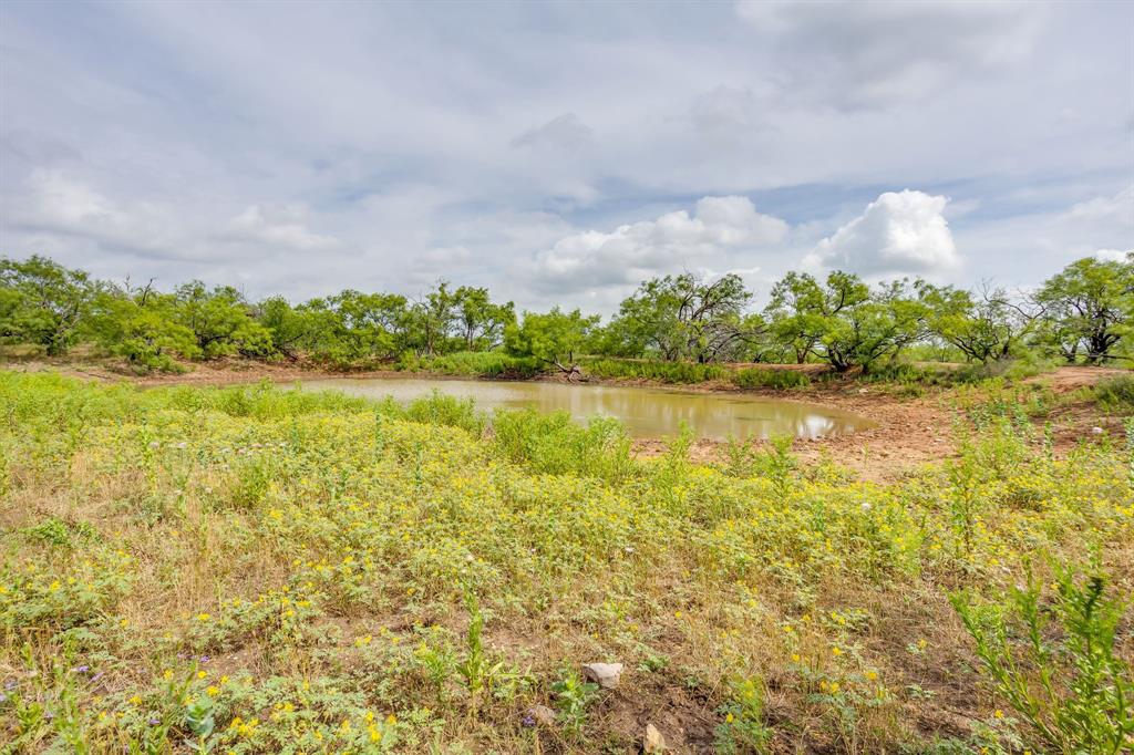 1053 Fm 503 Property Photo 25