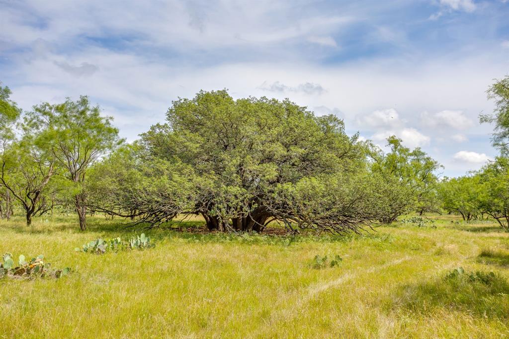 1053 Fm 503 Property Photo 29