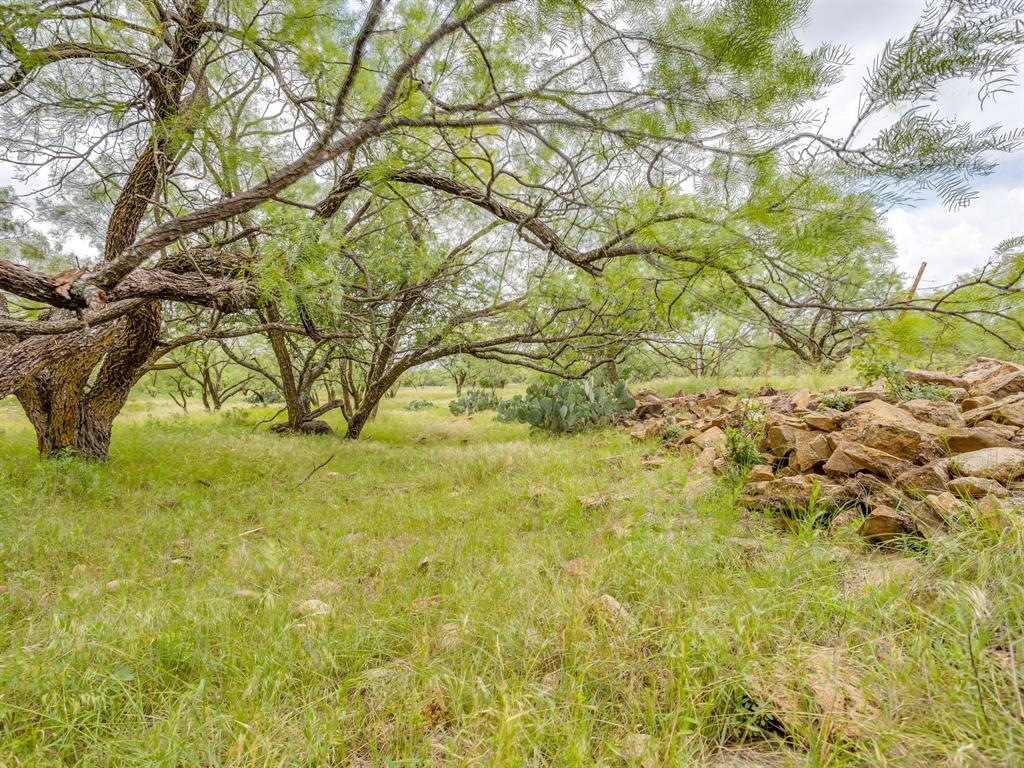 1053 Fm 503 Property Photo 37