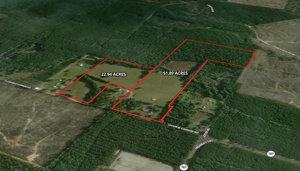 0 Charlie Cannon Road Property Photo 2