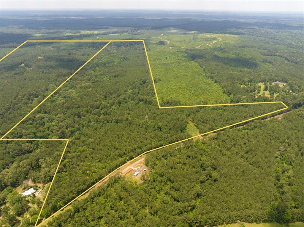 T-1 Blade Loop Road Property Photo 2
