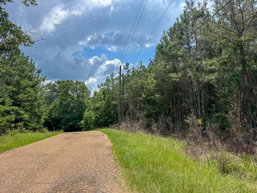 T-1 Blade Loop Road Property Photo 3