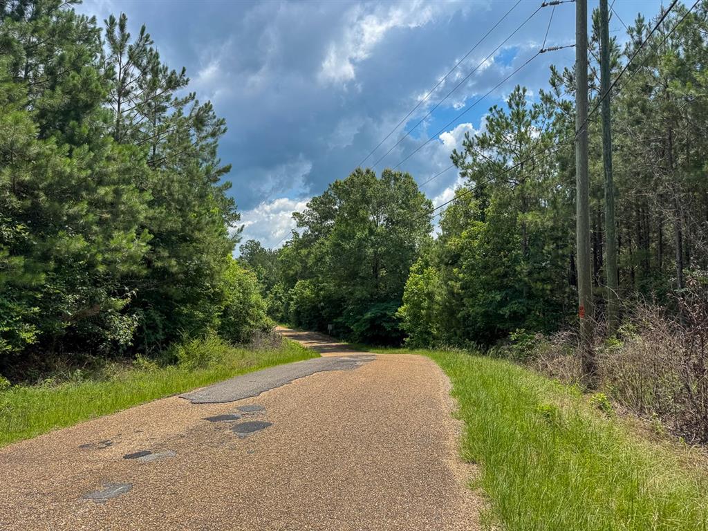 T-1 Blade Loop Road Property Photo 4