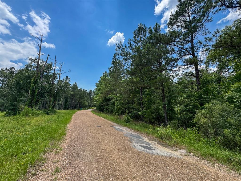 T-1 Blade Loop Road Property Photo 13