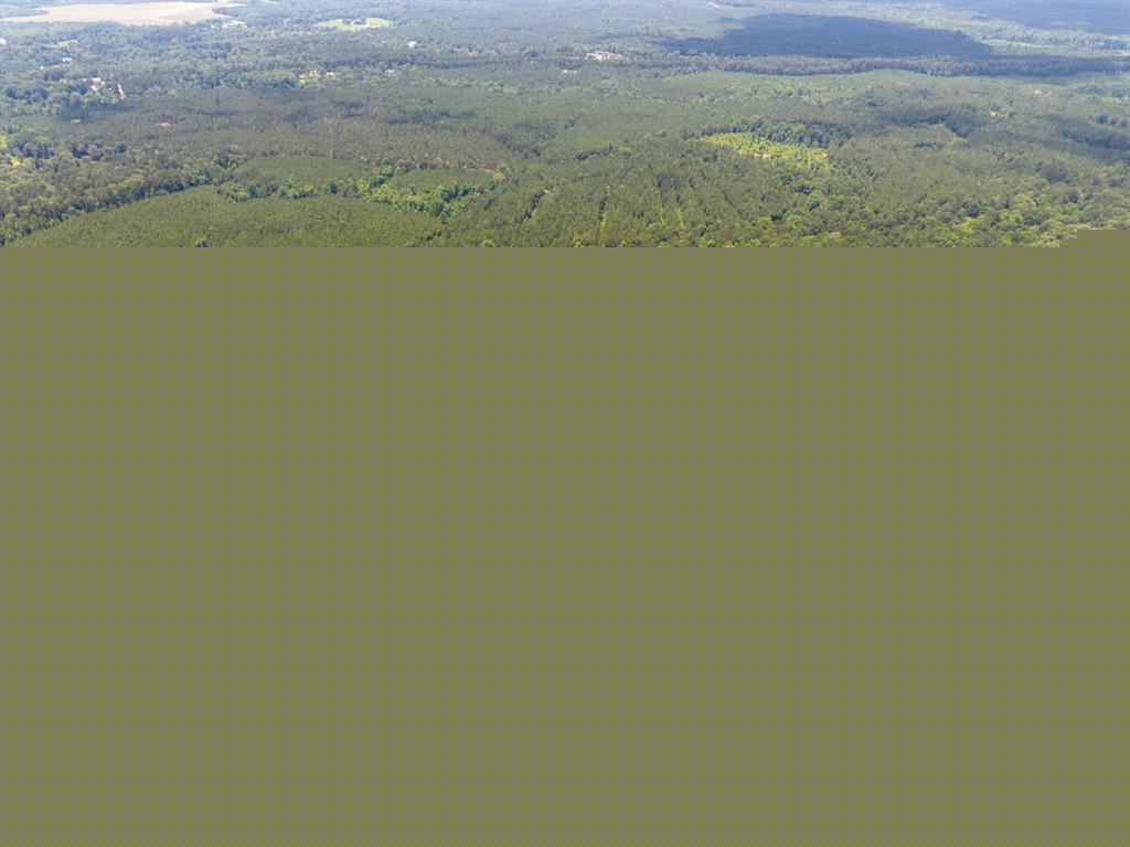 T-1 Blade Loop Road Property Photo 14