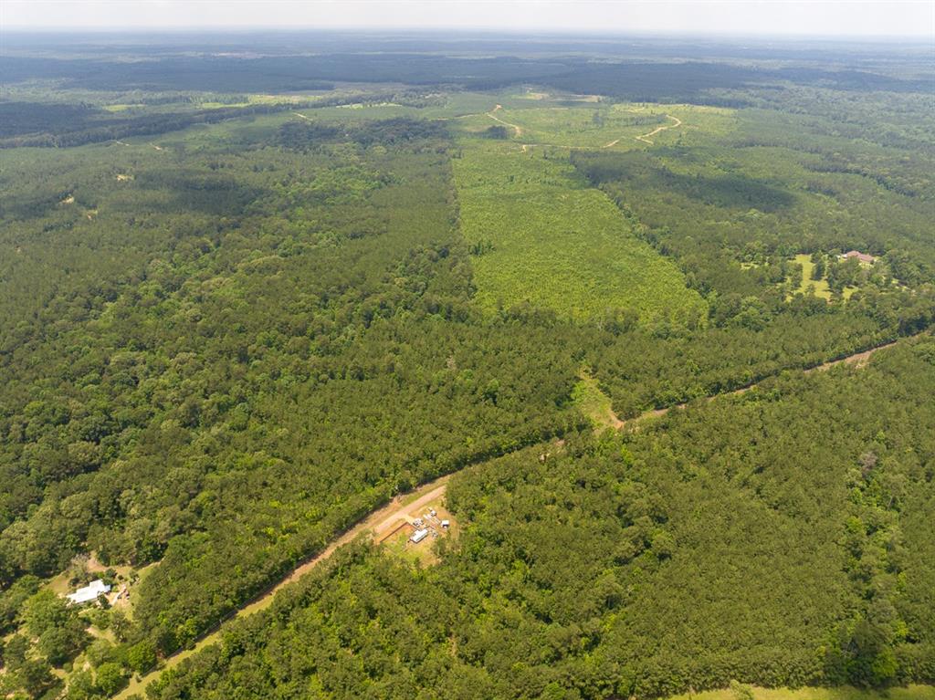 T-1 Blade Loop Road Property Photo 15