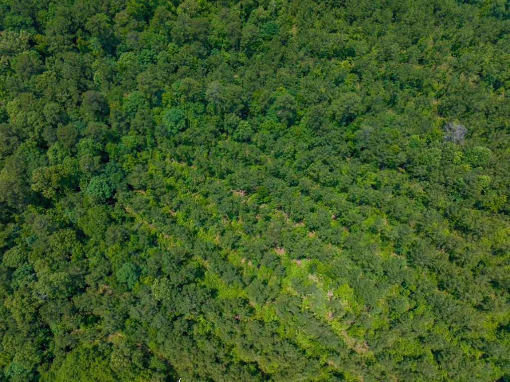 T-1 Blade Loop Road Property Photo 16