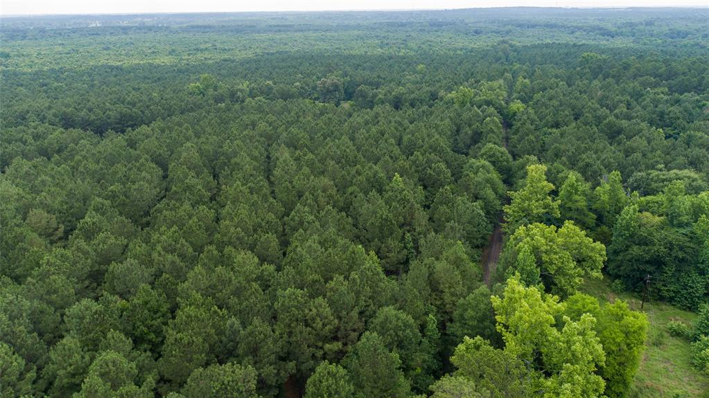 Tbd Cr 4510 Property Photo 1