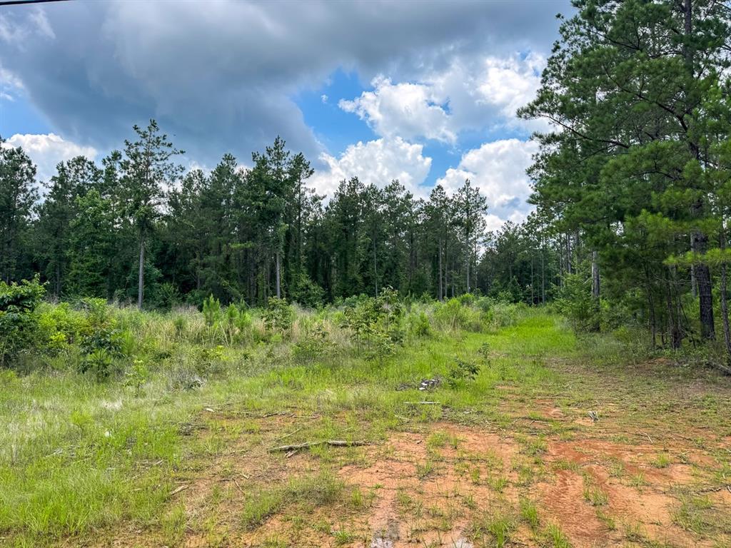 T-2 Blade Loop Road Property Photo 12