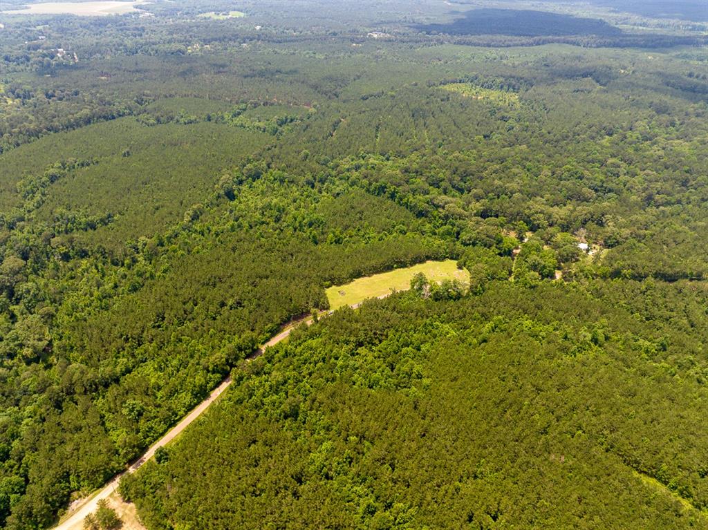 T-2 Blade Loop Road Property Photo 14