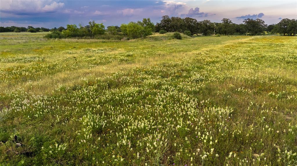 1395 S Highway 95 Property Photo 31