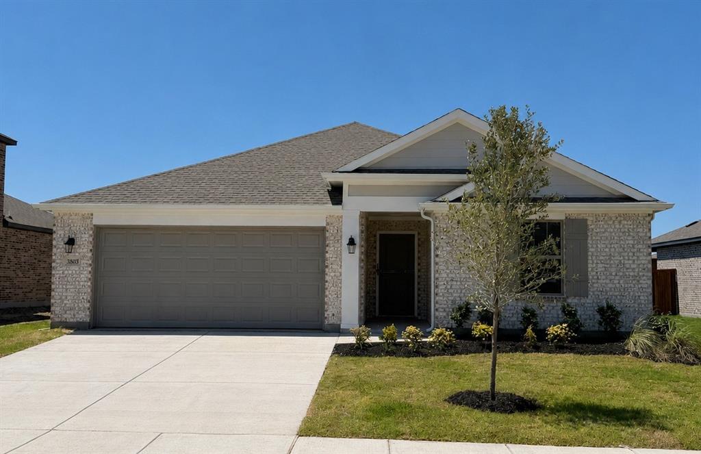 3803 Brewster Lane Property Photo 1