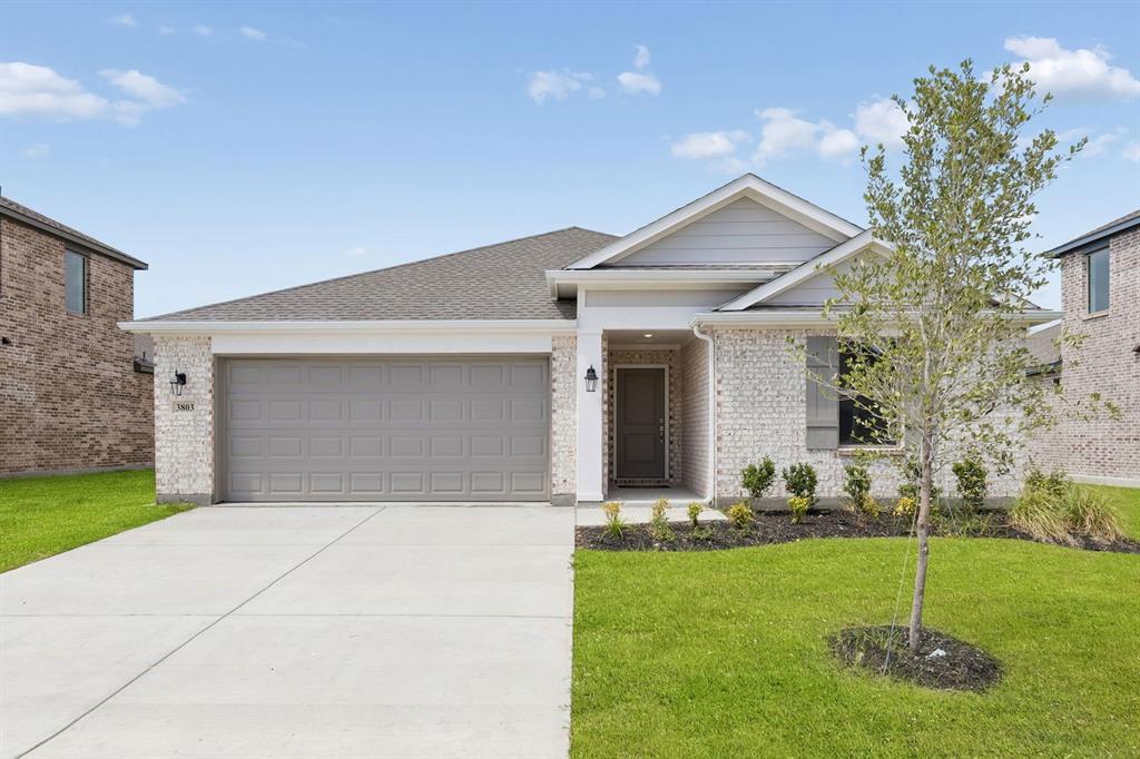 3803 Brewster Lane Property Photo 1