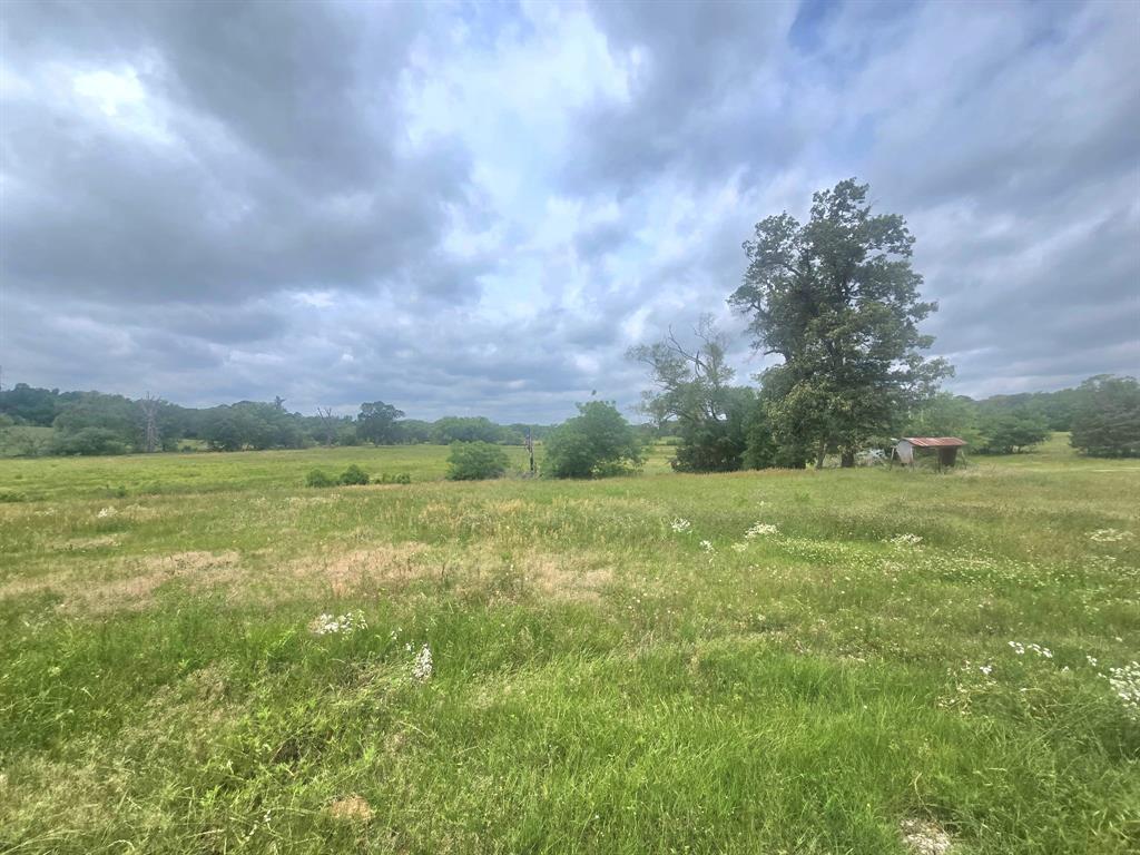 Tbd County Road 246 Property Photo 1
