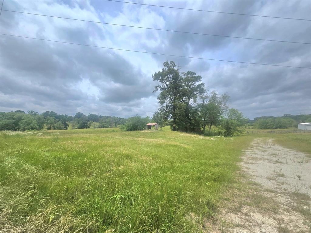 Tbd County Road 246 Property Photo 4