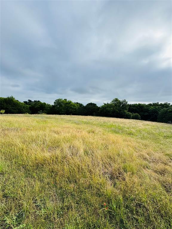 1445 Lakeside Trail Property Photo 4