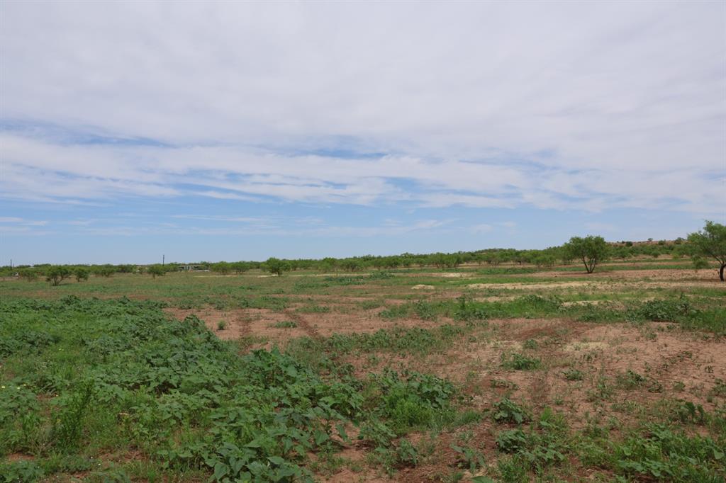 13558 County Road 440 Property Photo 12