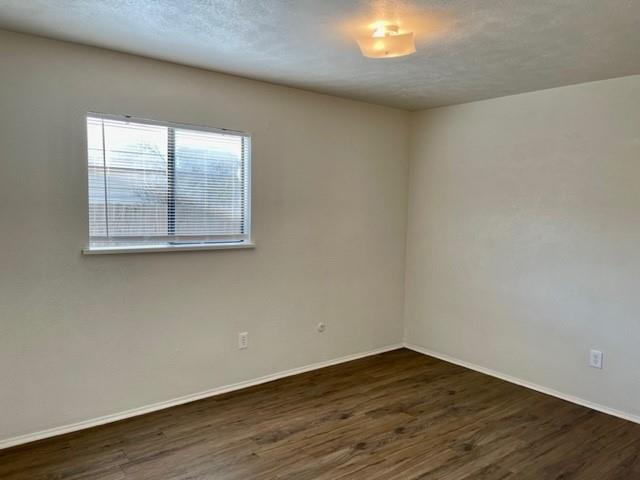 4020 Blue Flag Lane Property Photo 18