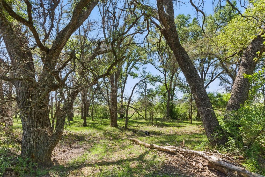 1359 County Road 195 Property Photo 6