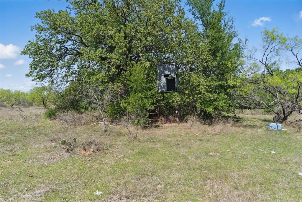 1359 County Road 195 Property Photo 25
