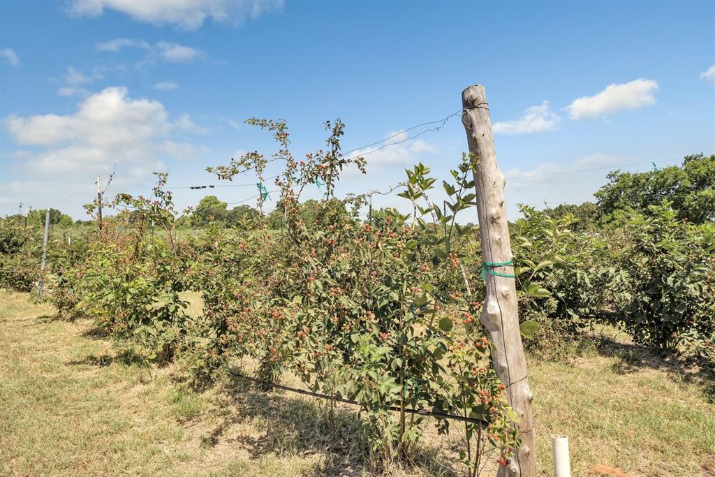 10268 Fm 314 Property Photo 19
