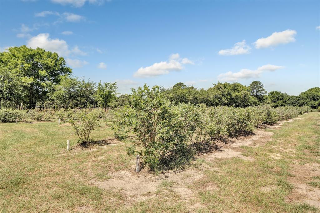 10268 Fm 314 Property Photo 21