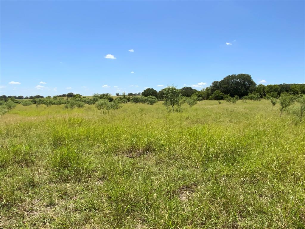 235 County Road 343 Property Photo 35