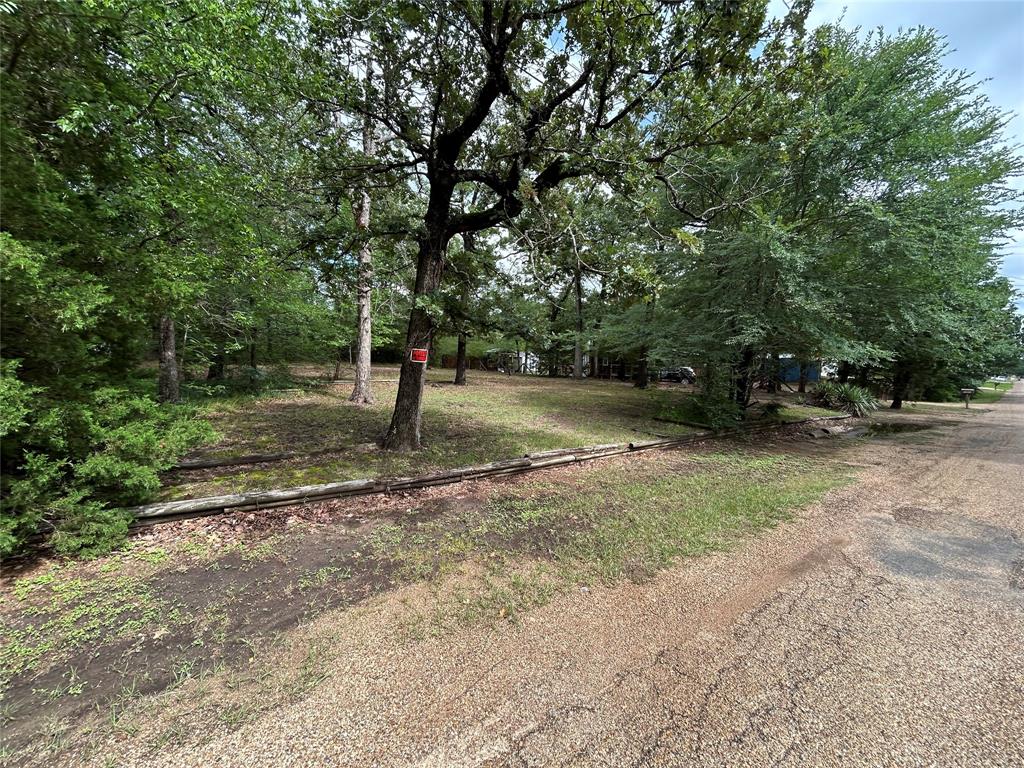 11115 Cedar Drive Property Photo 1