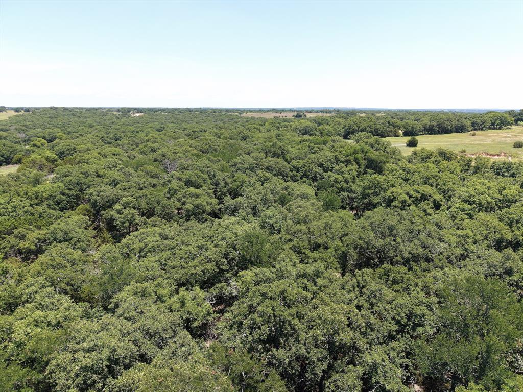 Tbd Turkey Court Property Photo 3