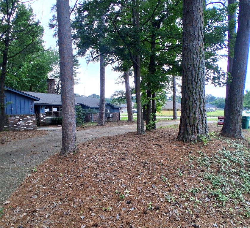 207 Wildwood Drive Property Photo 3