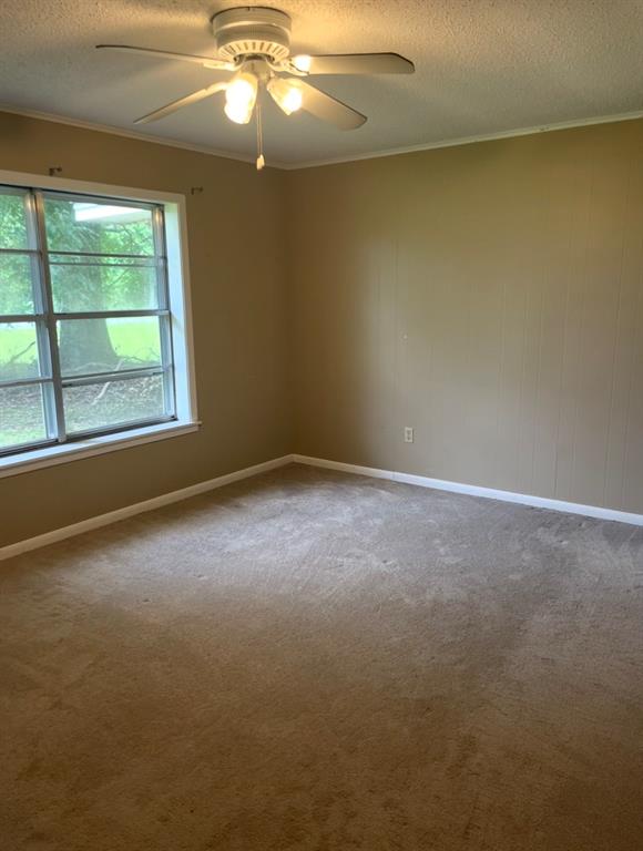 1381 Franklin Property Photo 7