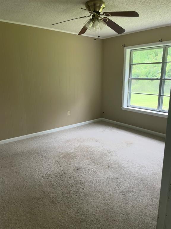 1381 Franklin Property Photo 9