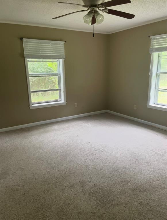 1381 Franklin Property Photo 10