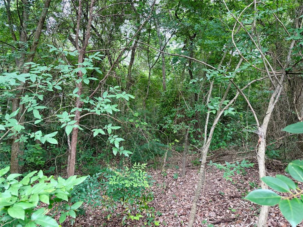 0 Garner Drive Property Photo 3