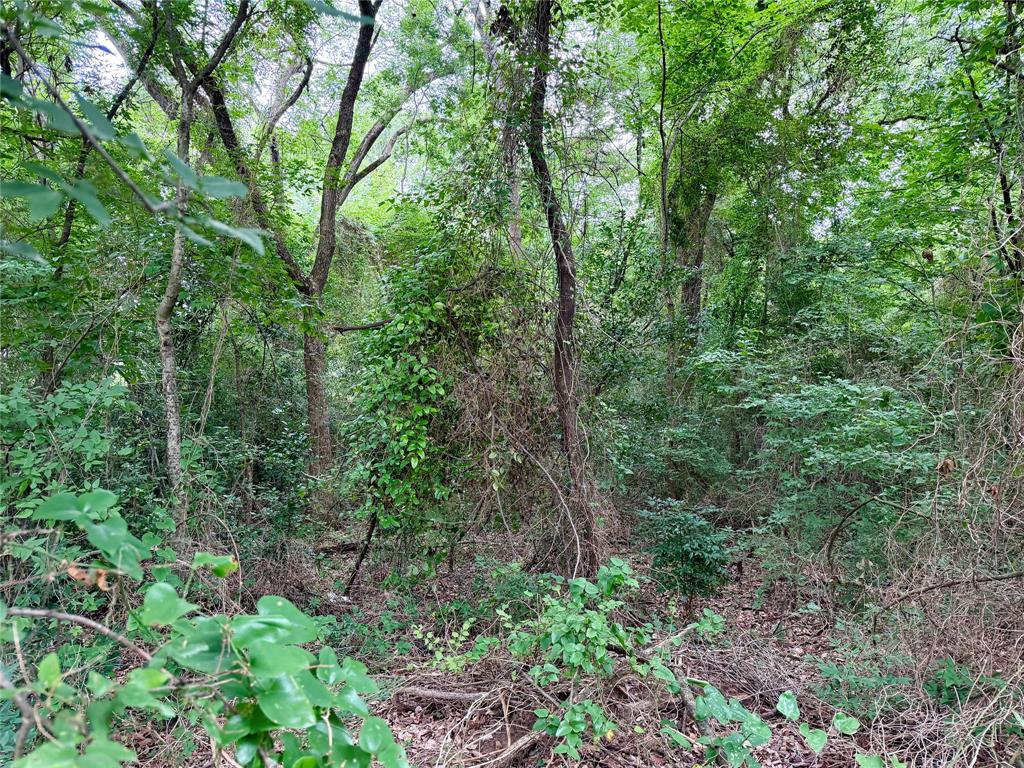 0 Garner Drive Property Photo 4
