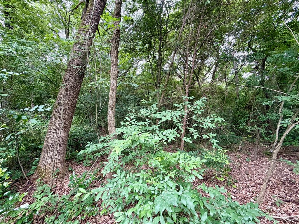 0 Garner Drive Property Photo 8