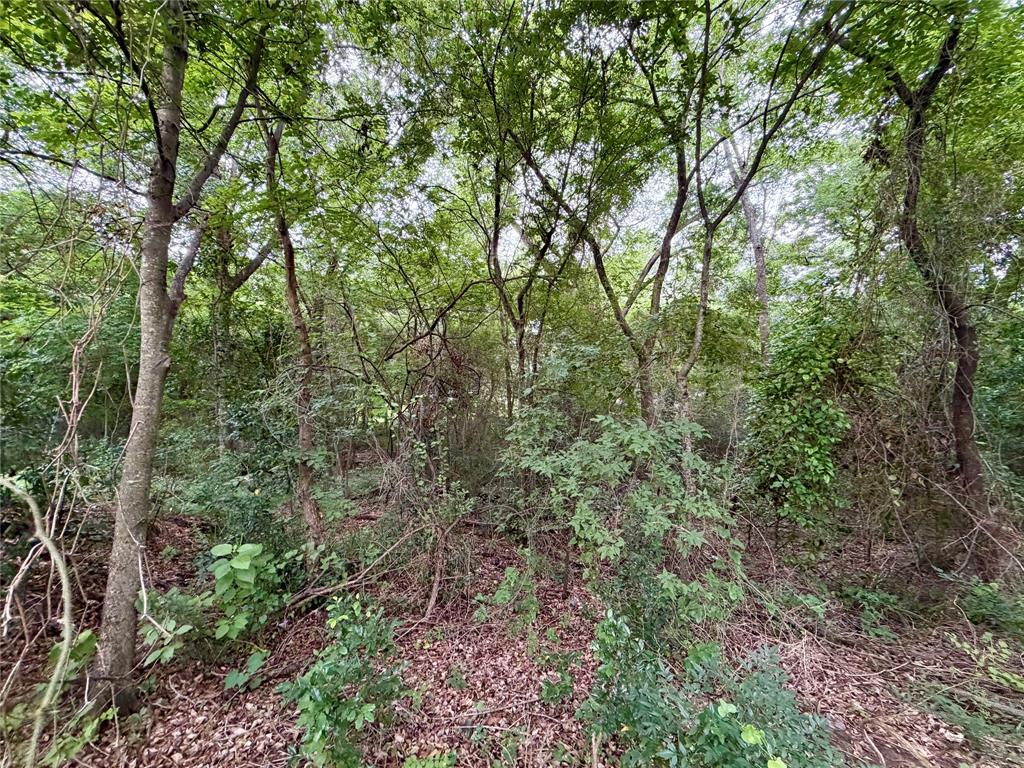 0 Garner Drive Property Photo 9