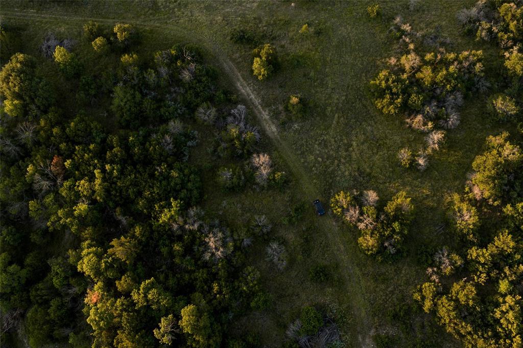 28205 N Us Highway 281 Property Photo 14