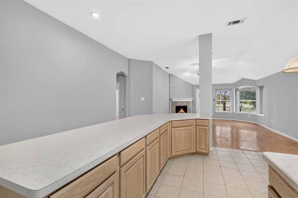 5016 San Jacinto Drive Property Photo 11