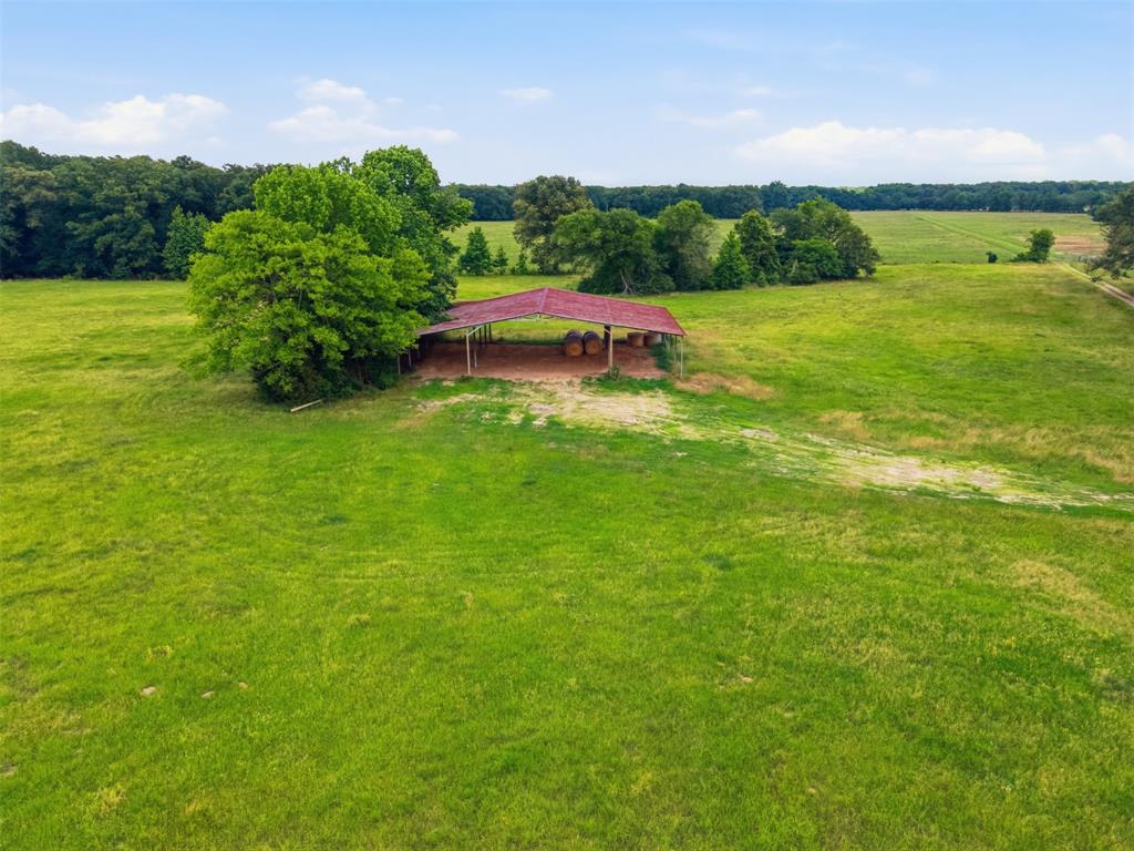 1663 County Road 1405 Property Photo 5