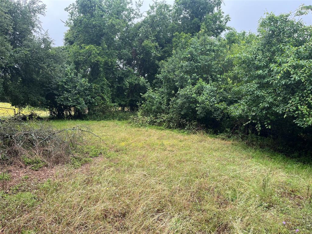 2522 Tanglewood Circle Property Photo 6