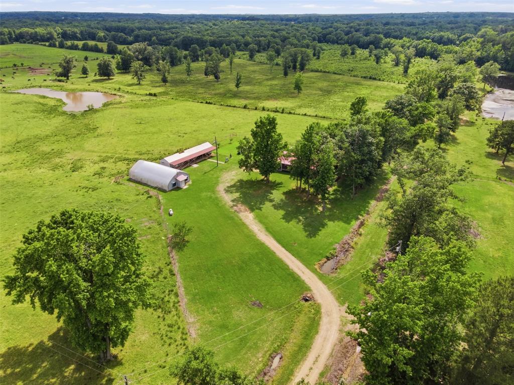 254 County Road 4129 Property Photo 8