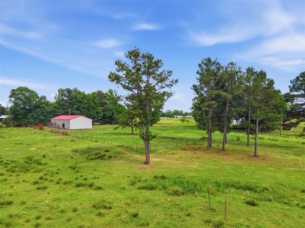 254 County Road 4129 Property Photo 11