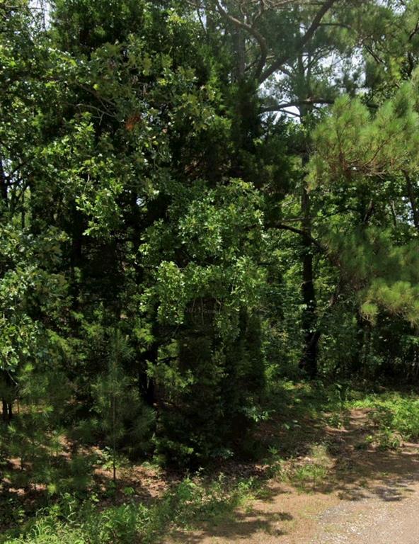 5343 Sam Bass Property Photo 2